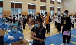 大连月光爆料最新消息,最新动态揭秘，不容错过的热点资讯